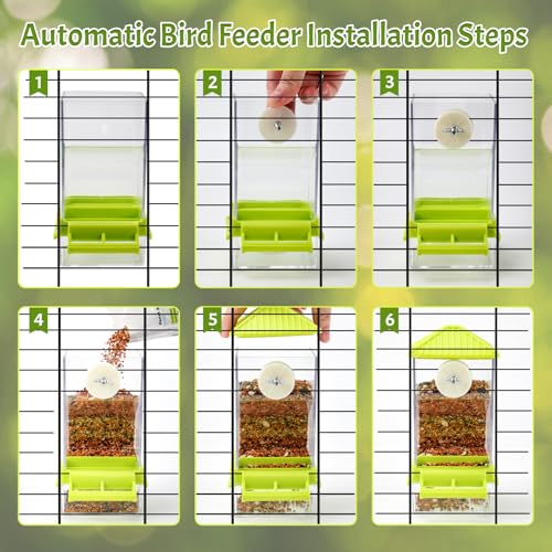 Rypet No-Mess Automatic Bird Feeder for Cage, Parrot Cage Accessories - color: Transparent A80 Green