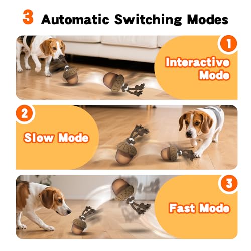 Interactive Dog Toys Automatic Rolling Dog Toys to Keep Them Busy (Acron) - color: Acron