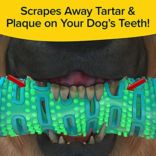 BulbHead BrushBone Doggy Toothbrush Chew Toy, Plaque & Tartar Remover - color: Brush Bone, size: 1 Count (Pack of 1)