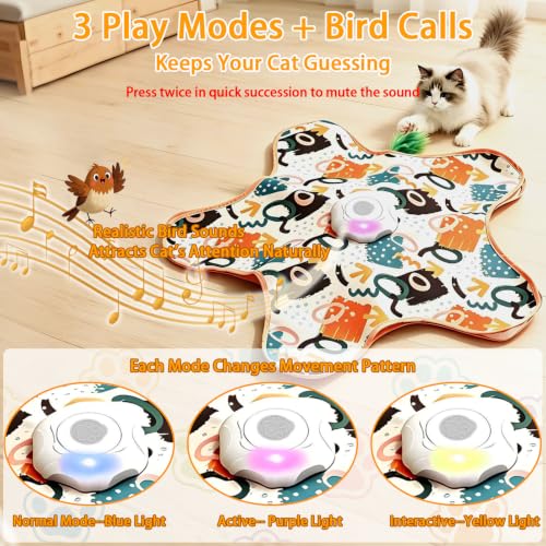 Interactive Cat Toy for Indoor Cats,Rechargeable Touch Activated Hide and Seek Cat Toys with Bird Squeaky,2000 mAh Battery,Cats Feather Toy with 4 Cat Wands Colorful,for All Breeds