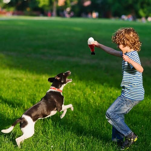 Cooling Freezable Dog Toy with Natural Coffee Wood – Dental Cleaning, Teething Relief & Treat Dispensing Chew Toy for Small Medium Large Breeds (Red) - color: Red