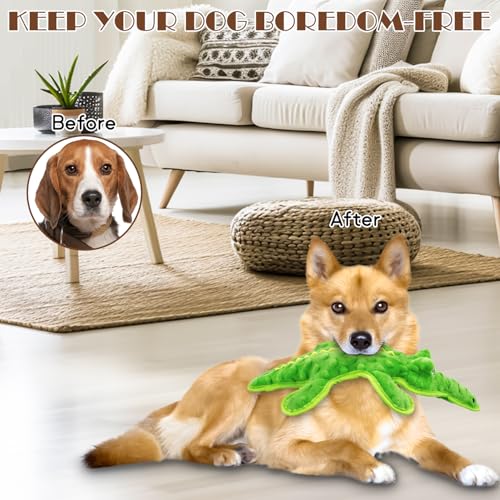 No Stuffing Dog Squeak Toys, Chew Toys for Small, Large Puppies Crocodile - color: Green