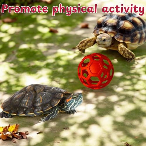 5.5in Turtle Feeder Ball with Chain, Hanging Tortoise Treat Ball, Turtle Enrichment Toys, Turtles Hay Feeding Balls, Foraging Food Toy for Small Pet Rabbit Guinea Pig, Tortoise Accessories (Red, L) - color: Red, L
