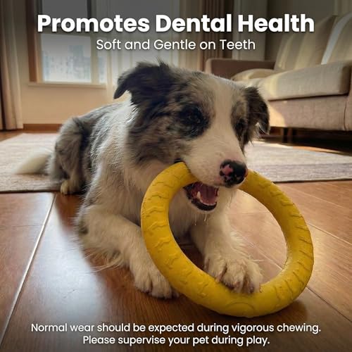 Dog Toys, Dog Chew Toys for Aggressive Chewers,Flying Discs for Medium/Large Breeds. Floating Dog Ring Toys for Throwing, Catching, Grabbing. (Large) - size: Large