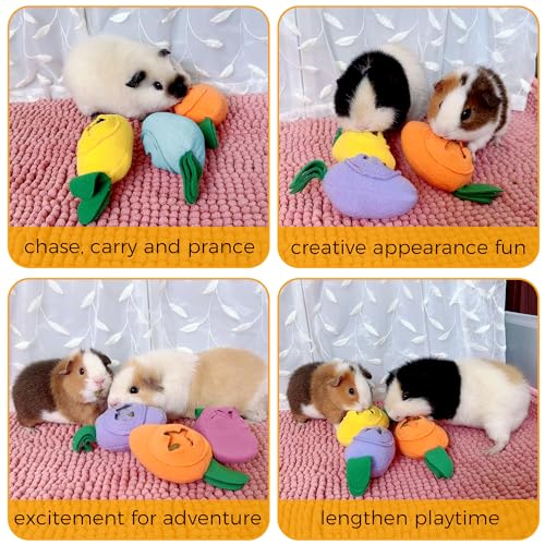 3Pcs Guinea Pig Forage Toys, Guinea Pig Toys Enrichment for Boredom