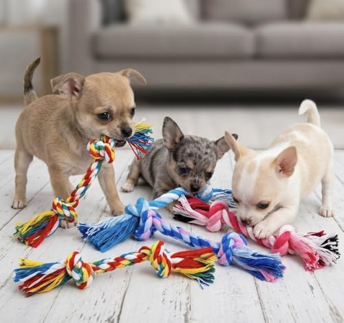Mini Chew Rope Pack for Small Dogs – 4 Pack Puppy Rope Toys for Chihuahua, Pomeranian & Small Breeds – Tiny Paws Teething & Dental Chew Toys (Blue) - color: Blue