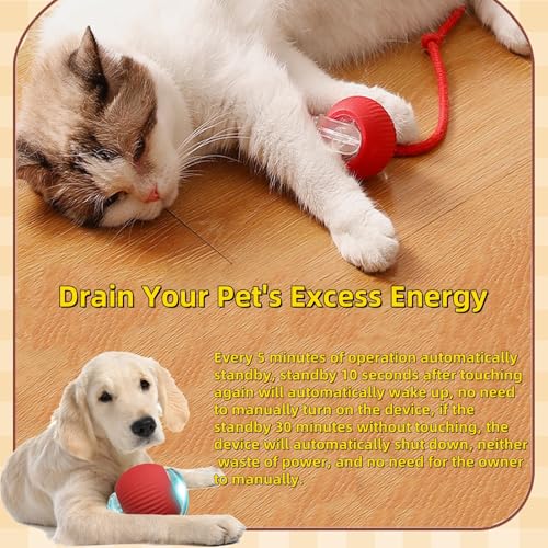 Interactive Dog Cat Toy Ball, Automatic Moving Bouncing Rolling, with Replacement Tail, Pet Smart Chase Ball Rechargeable, Enrichment Toys for Bored Indoor Adult Cats/Dogs - color: Red