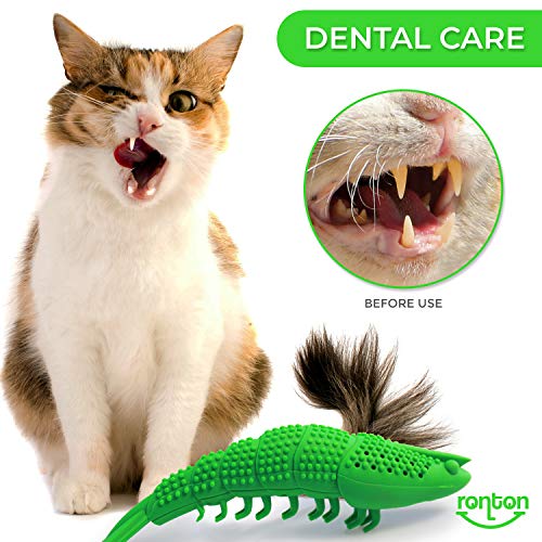 Ronton Catnip Toy - Durable Hard Rubber - Cat Dental Care, Cat Interactive Toothbrush Chew Toy (2 Pack Green & Blue (Shrimp)) - size: 2 Pack (Shrimp)