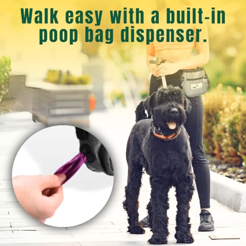 Pet N Pet Dog Treat Bag with Easy-Access Pouch for Training Small Holder
