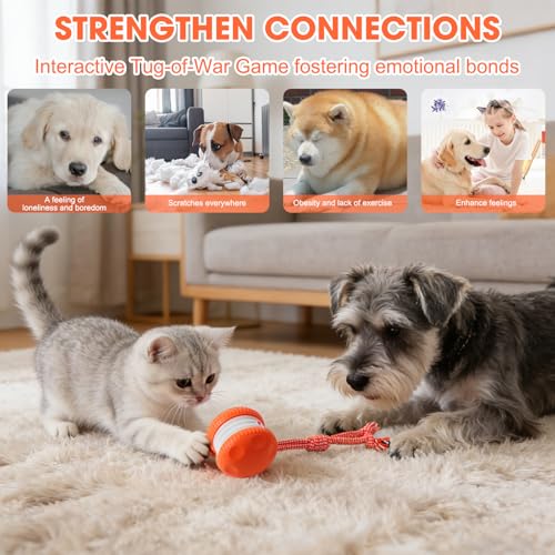 Interactive Dog Toy,Random Path Automatic Electric Rolling Toy with Rope,Motion-Activated Dog Stimulation Toy for Chewing and Playing,Boredom Relief,for Small Medium Large Dogs (Blue) - color: Blue
