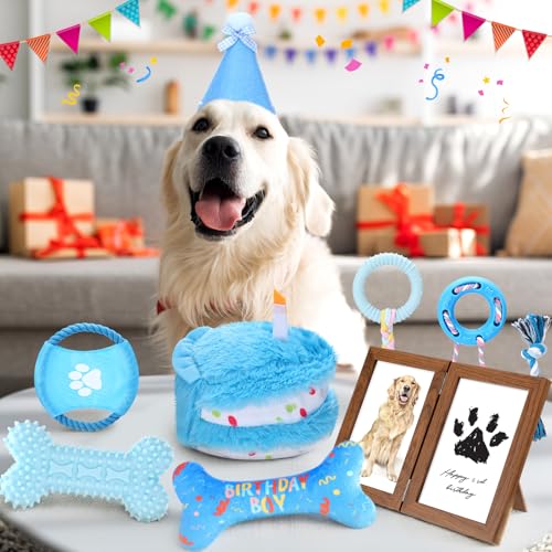 Gemscream 14 Pcs Dog Birthday Toy Gifts Dog Birthday Cake Puppy Interactive Squeak Toys Decorations for Small and Medium Dogs Supplies(Blue) - color: Blue