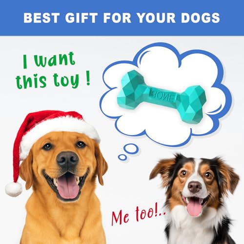 NOOVIA Durable Dog Chew Toy Rubber Bone 100% Natural Bite-Resistant Interactive Pet Toys for Dogs, Diamond Texture Modern Geometric Design (Lake Green, Medium) - size: Medium