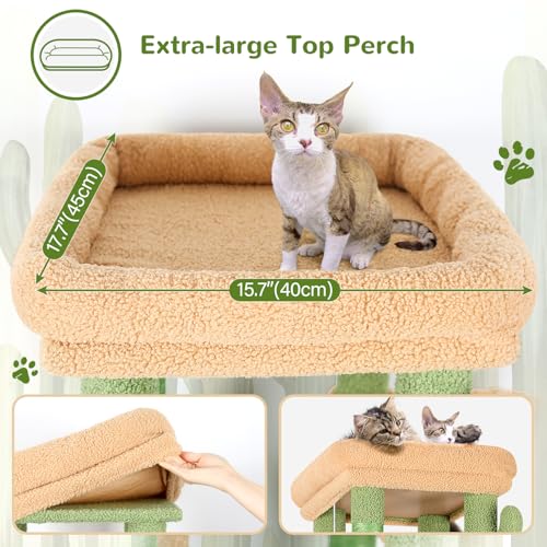 Globlazer Heavy Duty Cactus Cat Trees for Big Cats Maine Coon, F61, Green - color: Cactus, size: 61inch