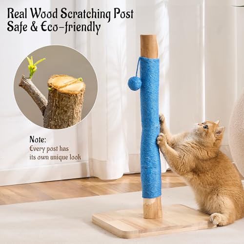 29" Tall Solid Wood Cat Scratching Post for Indoor Cats, Extra Stable Heavy Base, Natural Sisal Scratcher with Hanging Ball, Furniture Protector for Kittens & Adult Cats, Blue - color: Blue