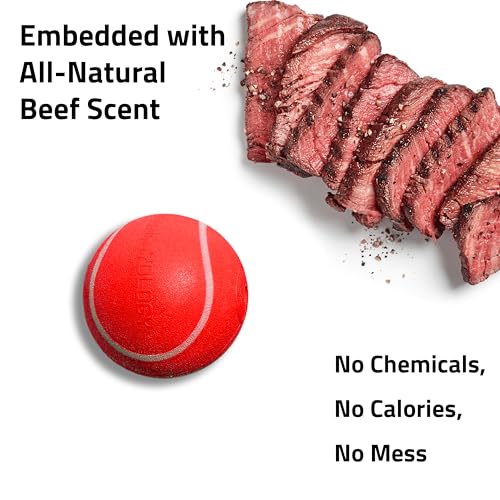 Playology Squeaky Chew Ball Dog Toy - Small, Beef Scent, 3-Pack - size: Small (VALUE 3-Pack), style: Beef