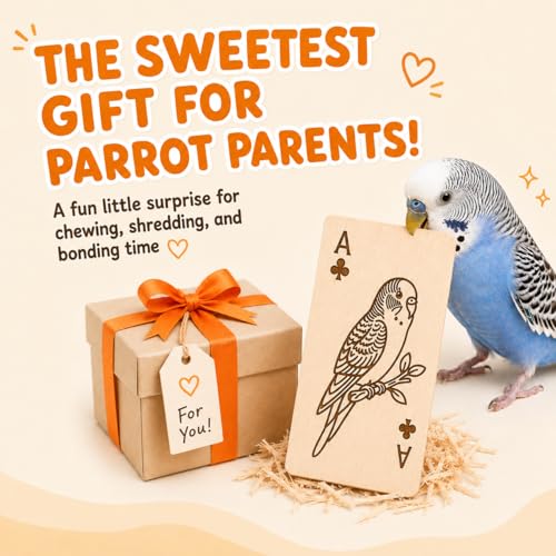 Natural Balsa Wood Bird Chew Toy 13 Count, Shredding Toy for Bird - color: Heart