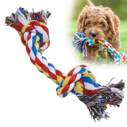 Jeffers Pet Rope Bone Dog Toy, Multi-Colored, 10" – Durable Braided Rope for Tug of War, Chewing & Fetch – Interactive Play for Pets – Machine Washable Dog Game Toy, Supports Healthy - color: Multicolor, size: 10 Inches