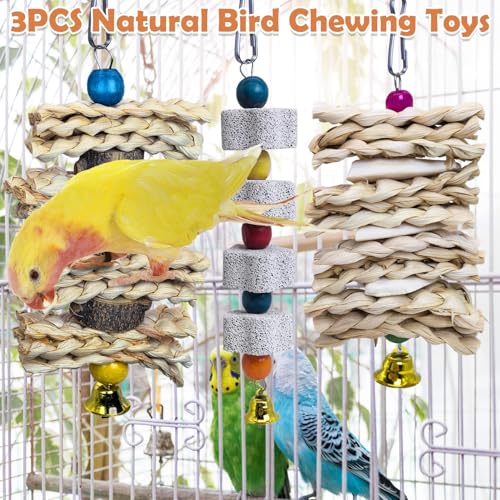 PINVNBY 3 Pack Parrot Toys Chewing Bird Toy Cuttlebone Beak Grinding Stone Cage Hanging Toys with Bell for African Greys Amazon Conure Eclectus Budgies Parakeet Cockatiel Hamster Chinchilla