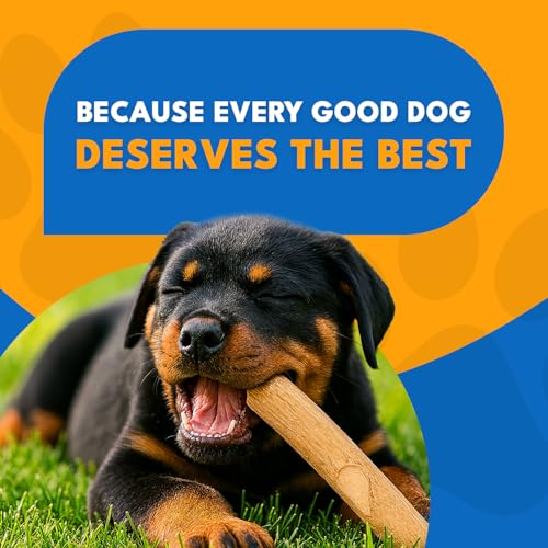 Set 3 of Coffee Wood Dog Chew Toy – Coffee Chew Stick for Small Dogs - Teeth Cleaning & Stress Relief – Safe, Durable & Eco-Friendly Dog Chew Toy (Small - Under 32 lbs) - size: Small
