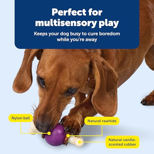 PetSafe Busy Buddy Bouncy Bone Treat Holding Dog Chew Toy, Small - size: Small, style: Bouncy Bone