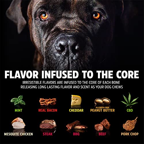 Pet Qwerks Flavorit BarkBone - Fillable Dog Bone for Moderate Chewers - Peanut Butter Flavor - 4.25" - size: Small