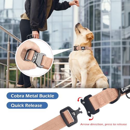 XSmall Extra Small Dog Collar and Leash Set Heavy Duty - color: Carolina Blooms, size: XS(0.5''Width, Fit 8''-11'')