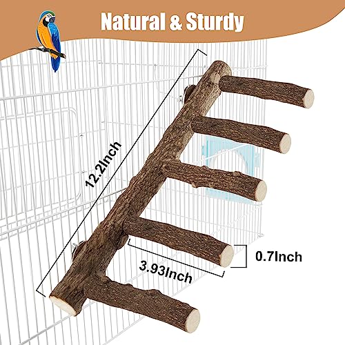 Parrot Wood Stand, Parrots Perch for Cage, Natural Bird Ladder