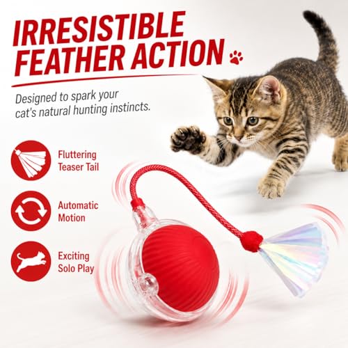 Interactive Cat Toy Ball with LED Lights, USB-C Rechargeable Automatic Cat Toy with Feather Tail, Smart Exercise Toy for Indoor Cats & Kittens, Upgraded Version - color: Red ball