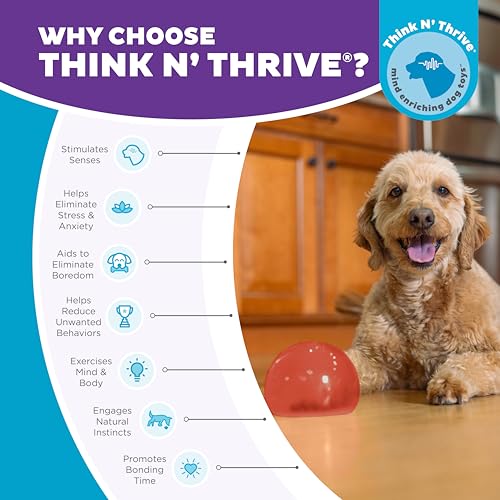 Outward Hound by Planet Dog Lil' Snoop Dog Toy – Treat‑Dispenser Puzzle Ball, Interactive Slow Feeder, Small to Medium Dogs, Bouncy & Mint-Infused, Red, 3.9" - color: Red Lil Snoop
