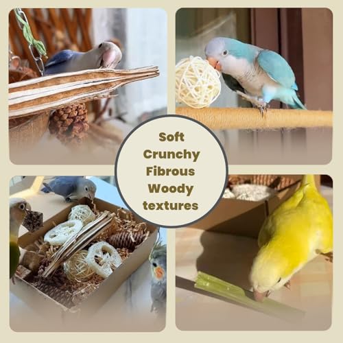 30PCS Natural Foraging & Chew Parrot Toys, Shredding Box for Birds - size: Medium