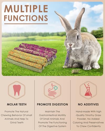 Bissap 22PCS Rabbit Chew Sticks, Natural Molar Treats for Small Pets - size: 22 pieces