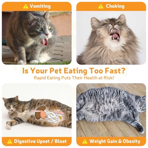 Ceramic Slow Feeder Cat Bowl 6.3" Wide (White) - color: Slow Feeder Bowl