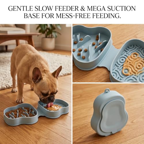 Collapsible Dog Travel Bowl with Lid, Slow Feeder (Bluish) - color: bluish