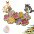 Abizoo Rabbit Chew Toys, Natural Four-Leaf Clover Herbal Edible Treats