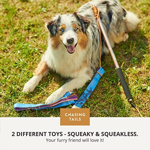 Chasing Tails Flirt Pole for Small Dogs - 26 Inch with 70 Inch Rope and Two Toys -Interactive Play Equipment for Small and Medium Breeds - Durable and Fun Exercise Tool for Active Pets - size: Pole - 26 Inch