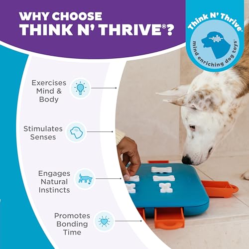 Outward Hound Nina Ottosson Dog Casino Dog Toy Treat Puzzle, 14" - color: Dog Casino (Blue, Orange), size: 1 Count (Pack of 1)