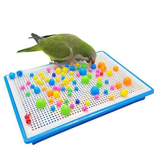 QBLEEV Parrot Puzzle Toys - Bird Intelligence Training, Parakeet & Conure Cage Accessories, Cockatiel Foraging & Chewing Toys - color: Mushroom Toy