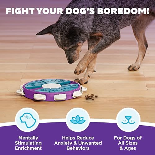 Outward Hound Nina Ottosson Dog Twister Dog Toy Treat Puzzle, 11.8" - color: Dog Twister (Purple, Blue), size: 1 Count (Pack of 1)