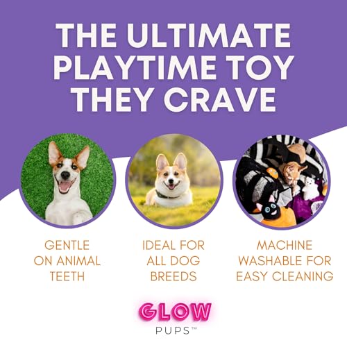 Glow Pups Halloween Hide and Seek Dog Toys, Orange Pumpkin