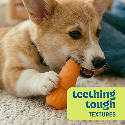 Flex-Force Veggie Dog Chew Toy for Moderate Chewers, 3-Pack, 4.9"