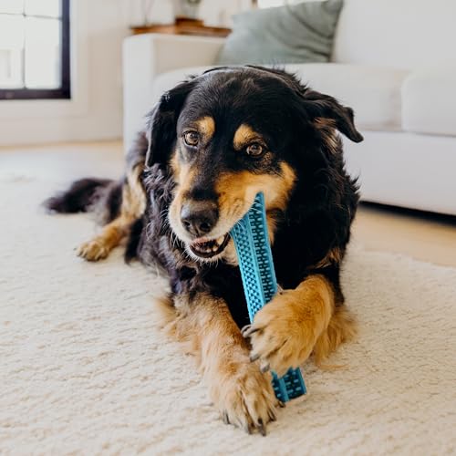 Playology Dental Chew Stick Toy for Senior Dogs- Jumbo, Peanut Butter Scent - size: Jumbo Chew Stick, style: Peanut Butter
