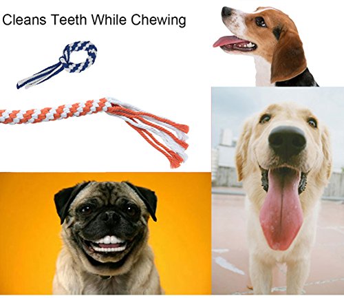 ASOCEA 3 Pack Dog Rope Toy, Flirt Pole Lure for Puppy Small Medium Dog - color: Blue+Orange