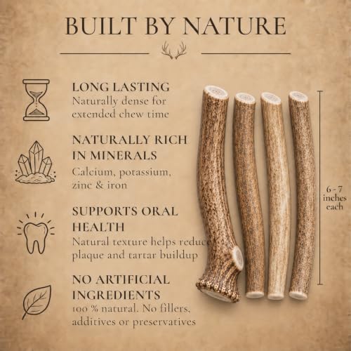 WhiteTail Naturals Whole Deer Antlers for Dogs, 1 lb Bulk Pack Antler Chews - style: Deer - Whole