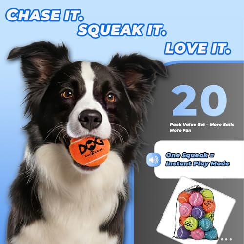 INSUM Squeaky Tennis Balls for Dogs, 2.5 Inch, 20 Pack Squeaky Dog Balls - color: Yellow, size: Medium - 20 Pack