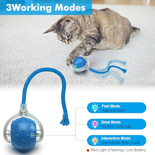 Interactive Cat Ball Toy for Indoor Cats – Fast Rolling on Carpets, Motion Activated with Chirping Sounds, Enrichment Play for Active & Bored Cats