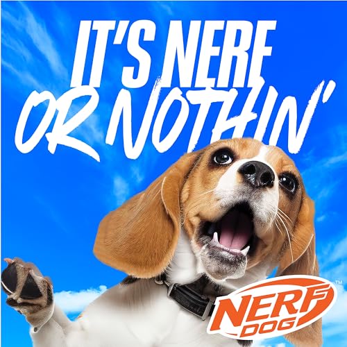 Nerf Dog Rubber Ball Dog Toy with Checkered Squeaker, Lightweight, Durable and Water Resistant, 4 Inch Diameter for Medium/Large Breeds, Single Unit, Blue - size: 4 Inch Blue, style: Checker Squeak