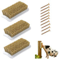 Toys for Pigs, 3-Pack Pet Enrichment Scratching Brushes for Outdoor