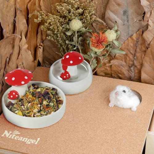 Niteangel Hamster Feeding & Water Bowls- Mushroom Ceramics Series Food Dish Feeding Bowls for Dwarf Syrian Hamsters Gerbils Mice Rats or Other Similar-Sized Small Pets (Water Bowl) (Pack of 2) - size: Water Bottle (Pack of 2)