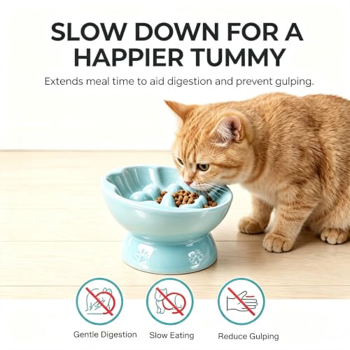 Ceramic Slow Feeder Cat Bowl, Elevated Tilted Design, Blue - color: blue
