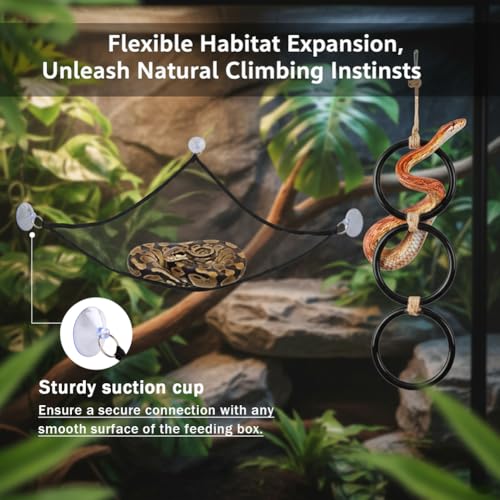 Snake Climbing Rings with 2 Hammock, Snake Climbing Toys Snake Enrichment